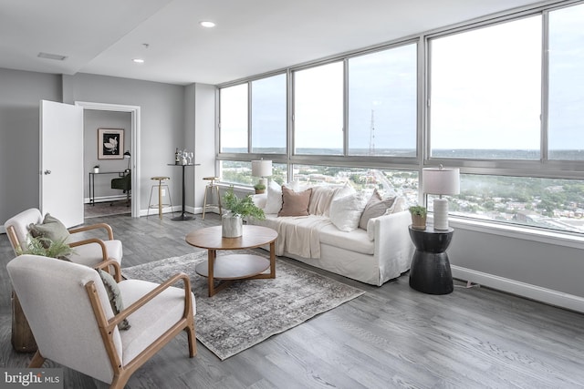 living room with wood-type flooring