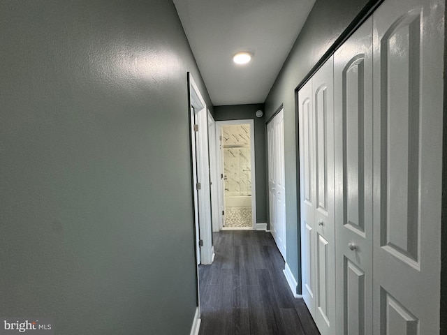 hall featuring dark hardwood / wood-style flooring