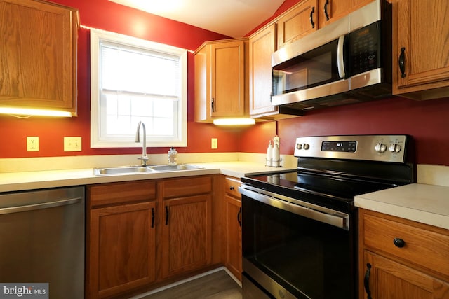 kitchen featuring dark wood-type flooring, sink, and stainless steel appliances