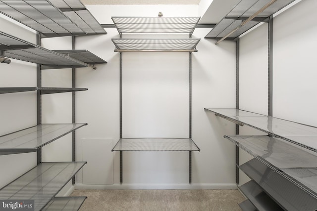 view of spacious closet