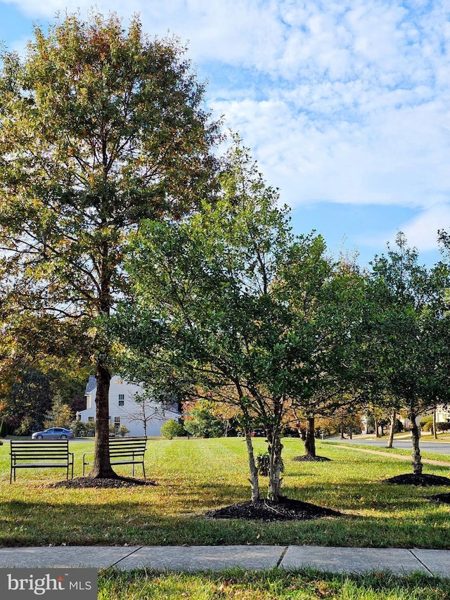 view of property's community with a lawn