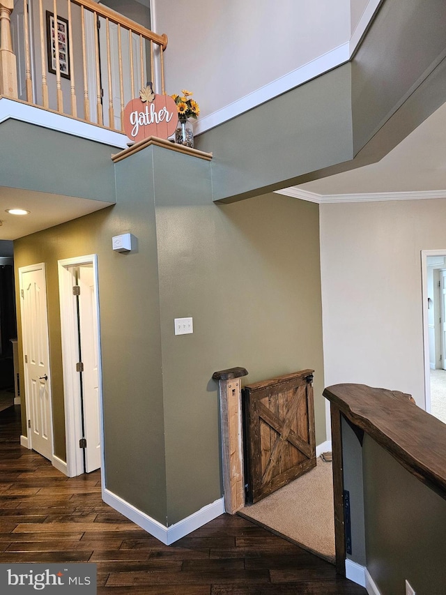 interior space with crown molding and dark wood-type flooring