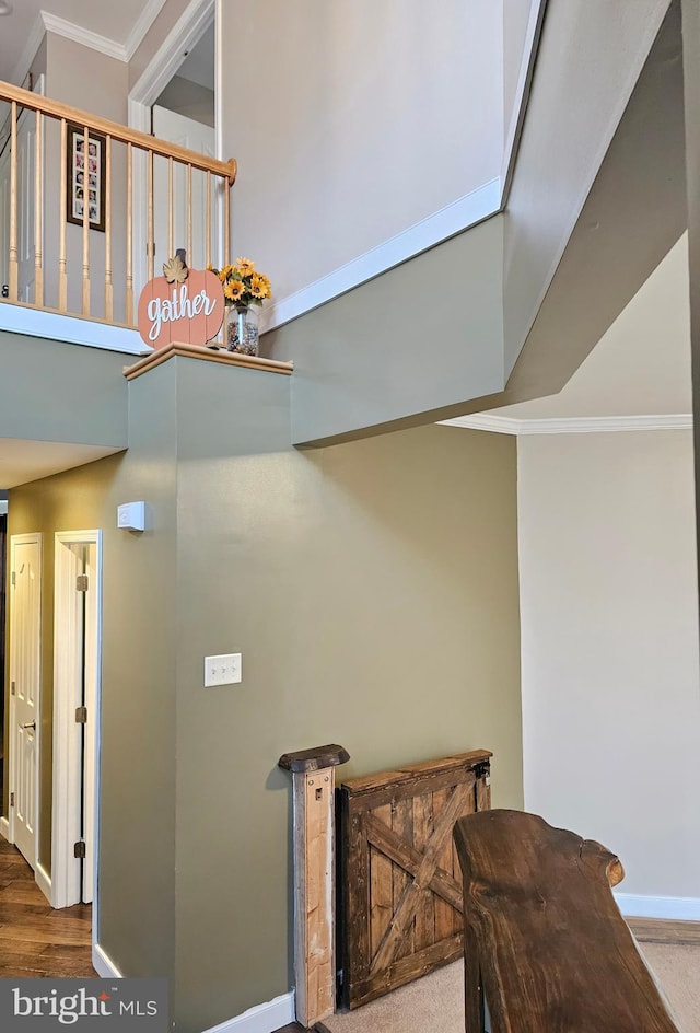 stairway featuring crown molding, a towering ceiling, and hardwood / wood-style floors