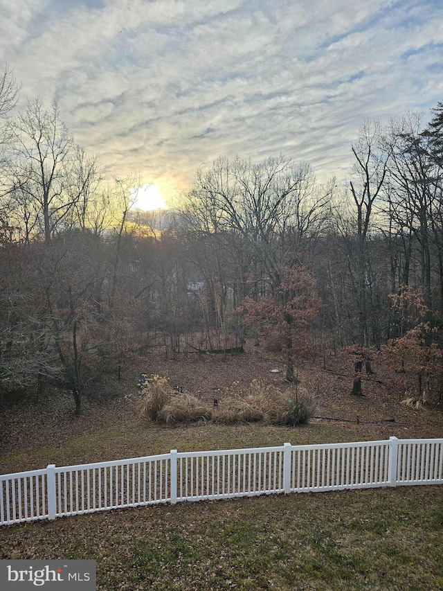 view of yard at dusk