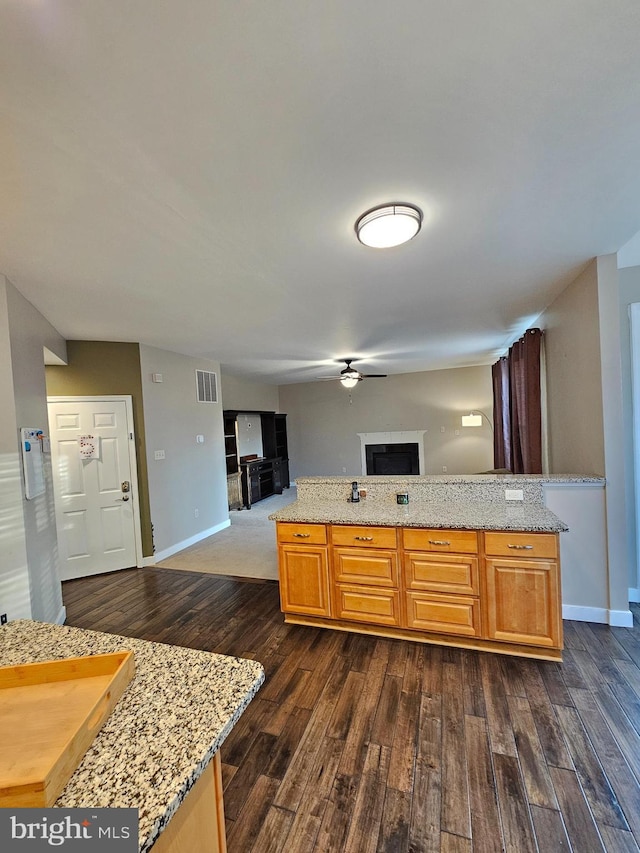 kitchen with dark hardwood / wood-style floors and light stone counters