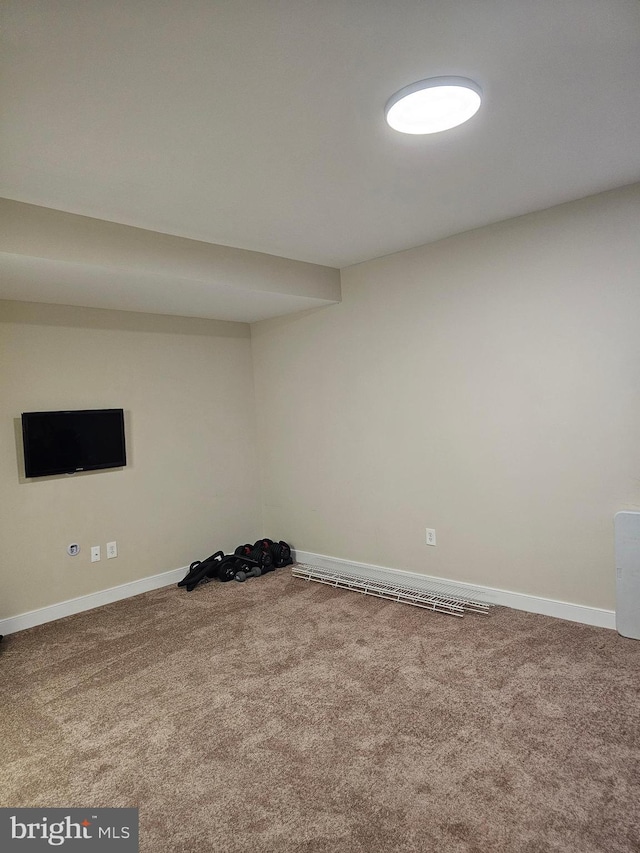 basement featuring carpet floors