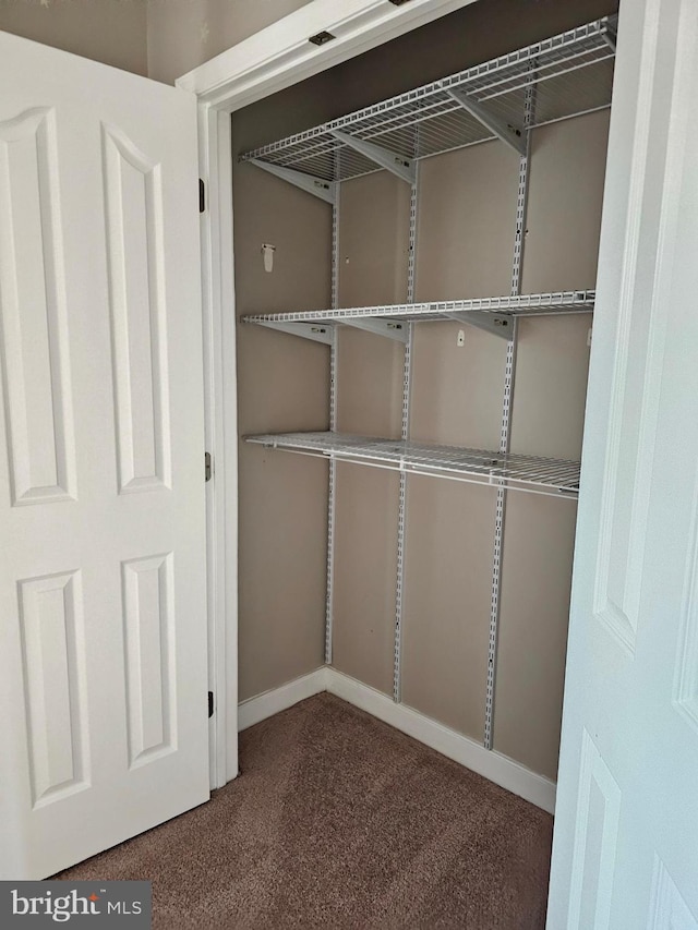 view of closet