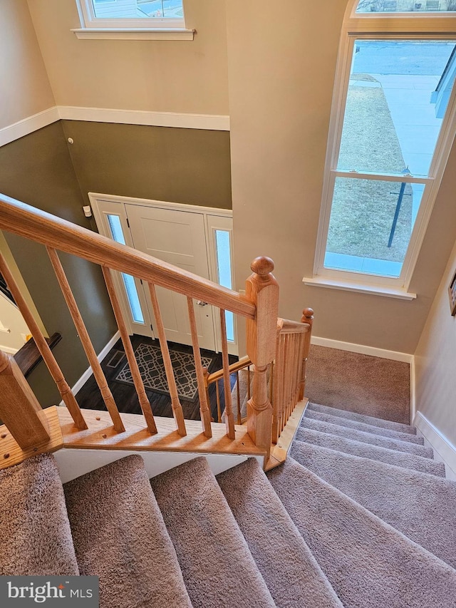 staircase with carpet floors and a healthy amount of sunlight