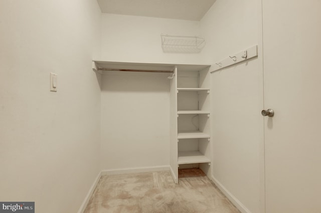 view of walk in closet