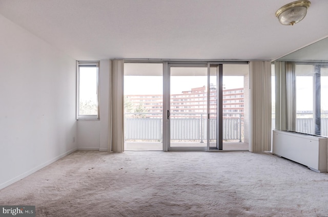 empty room with a wealth of natural light and light colored carpet