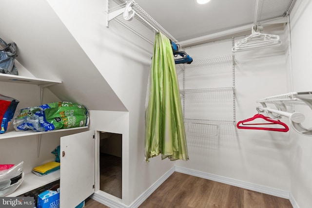 spacious closet featuring hardwood / wood-style flooring