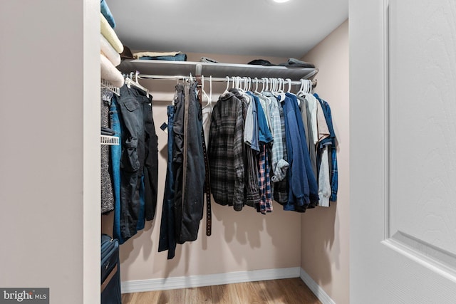 spacious closet with wood-type flooring