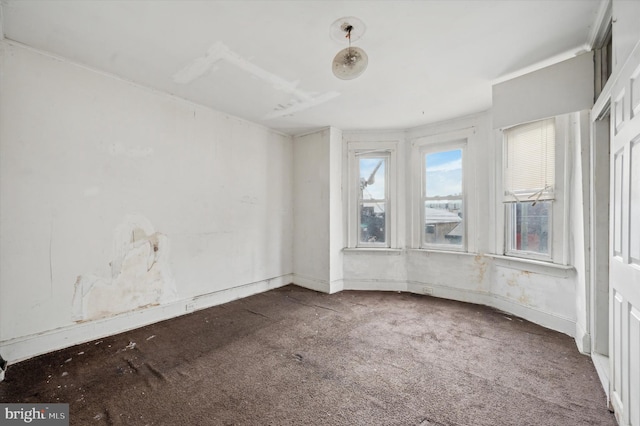 empty room featuring carpet floors