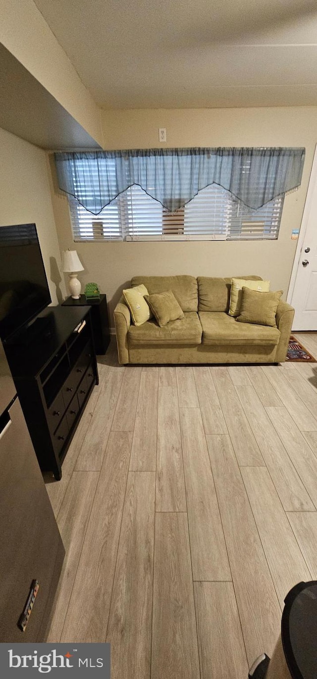 living room featuring hardwood / wood-style flooring