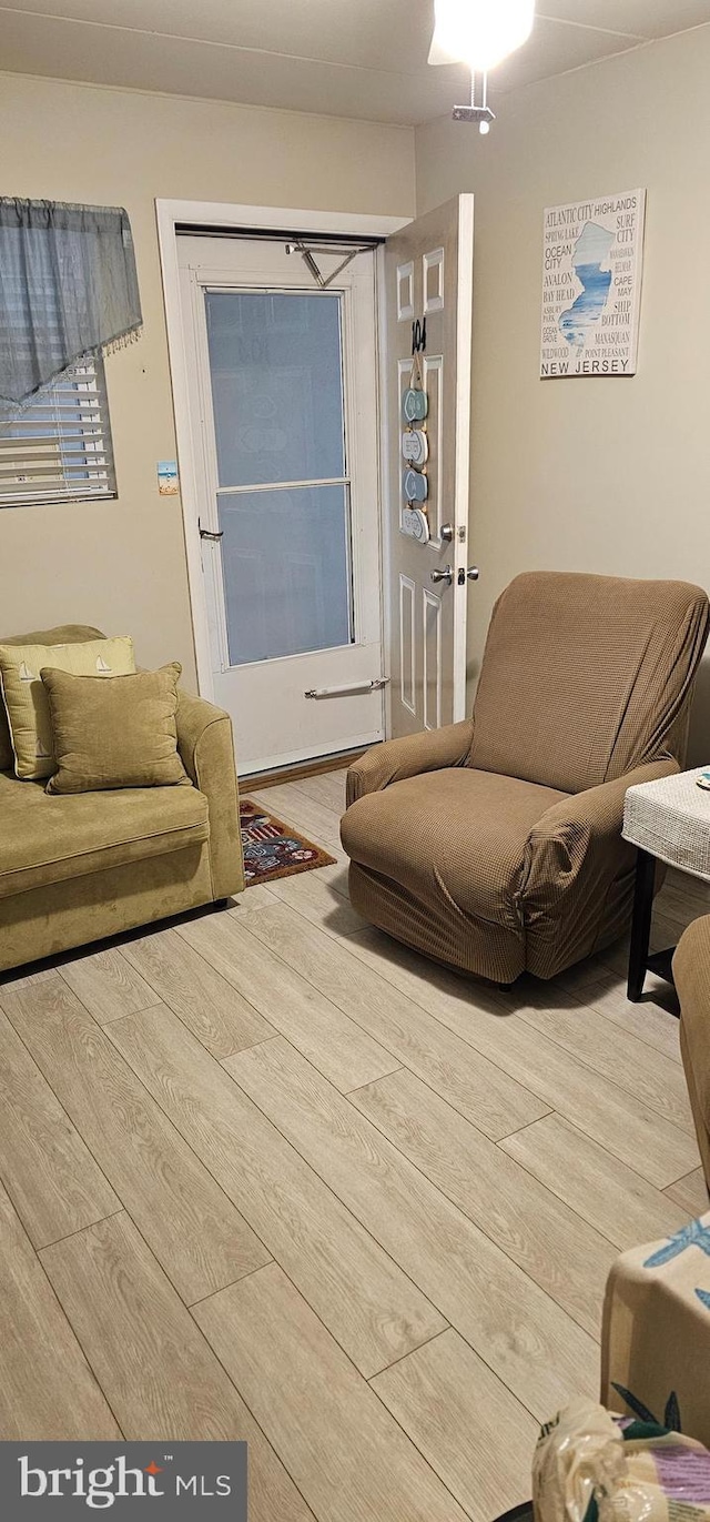 living room with hardwood / wood-style floors