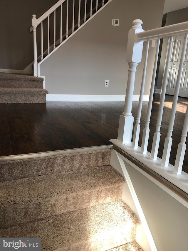 staircase featuring wood-type flooring