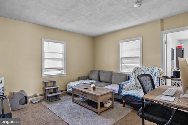 carpeted living room featuring a wealth of natural light and a textured ceiling