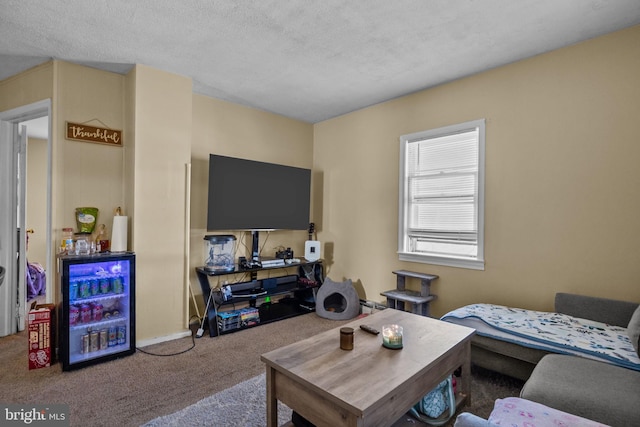 carpeted living room with a textured ceiling