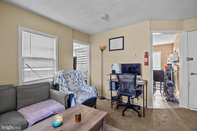 carpeted office space with a textured ceiling