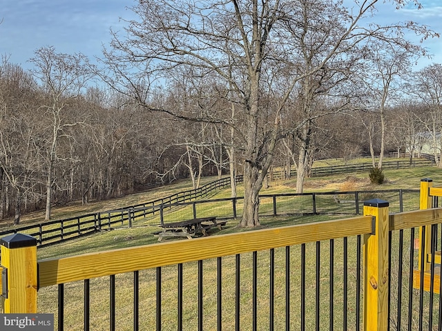 view of yard with a rural view