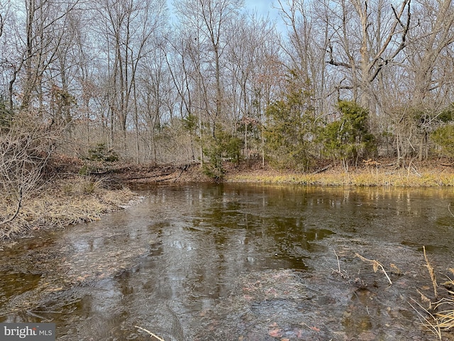 view of water feature