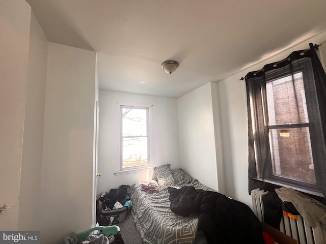 bedroom featuring carpet