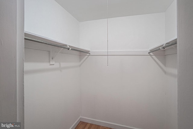 spacious closet featuring hardwood / wood-style floors