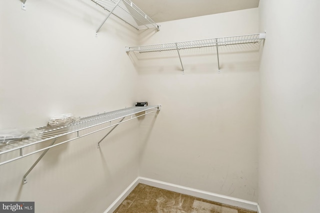 walk in closet featuring carpet floors