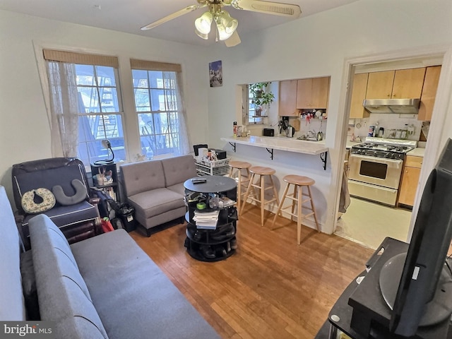 living room featuring ceiling fan and light hardwood / wood-style flooring