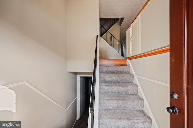 stairs featuring carpet flooring