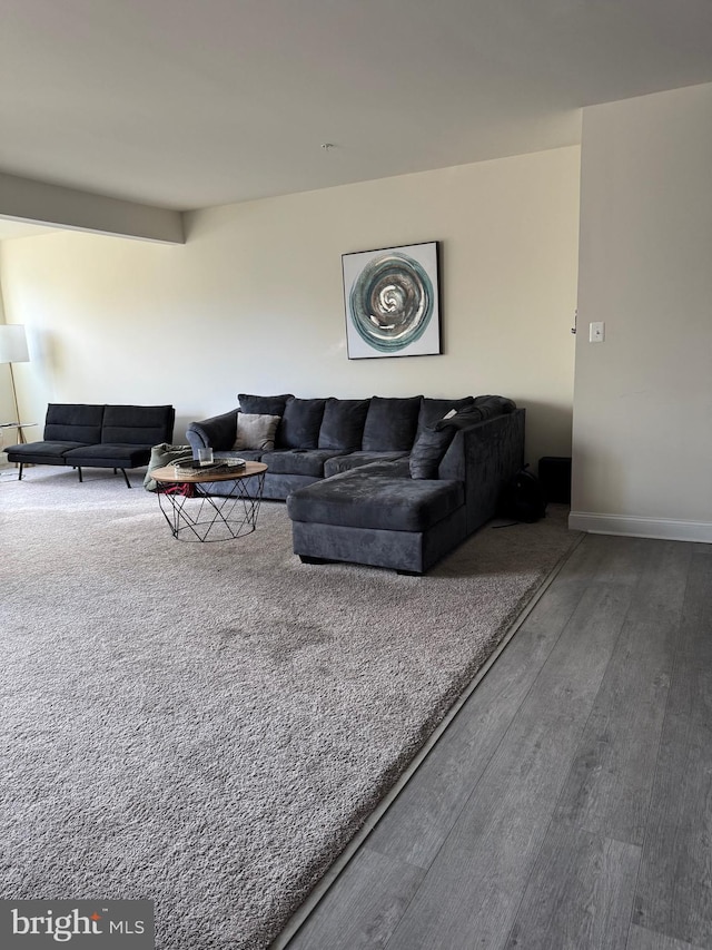 living room featuring hardwood / wood-style floors