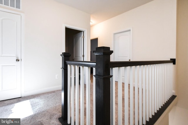 stairway featuring carpet floors