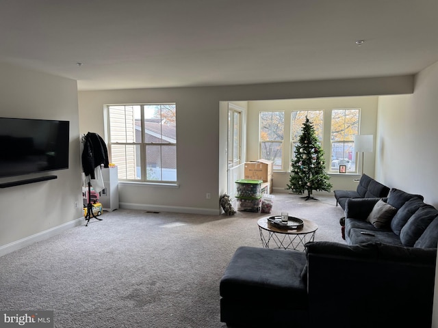 carpeted living room with plenty of natural light