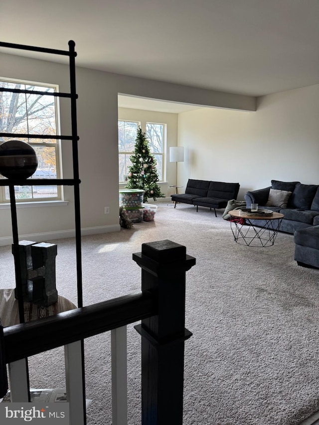 carpeted living room featuring a wealth of natural light