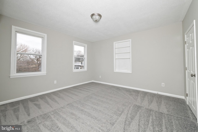 spare room with carpet, a healthy amount of sunlight, and a textured ceiling