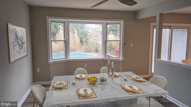 dining room with ceiling fan and wood-type flooring