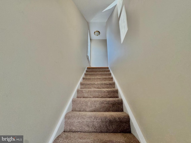 stairway with carpet flooring