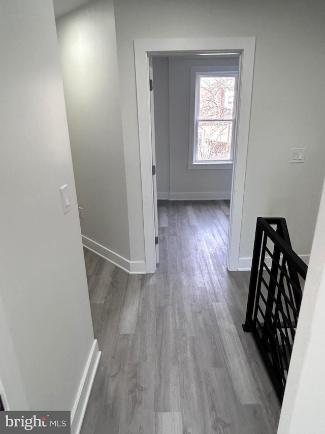 hallway featuring hardwood / wood-style floors