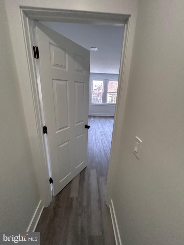 hall featuring dark wood-type flooring