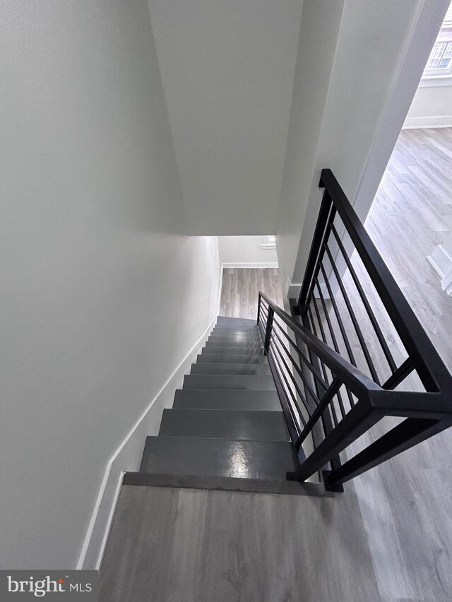 staircase featuring wood-type flooring