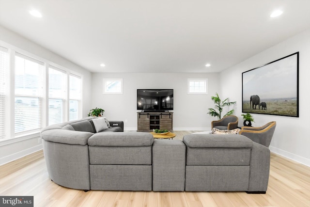 living room with light wood-type flooring and a healthy amount of sunlight