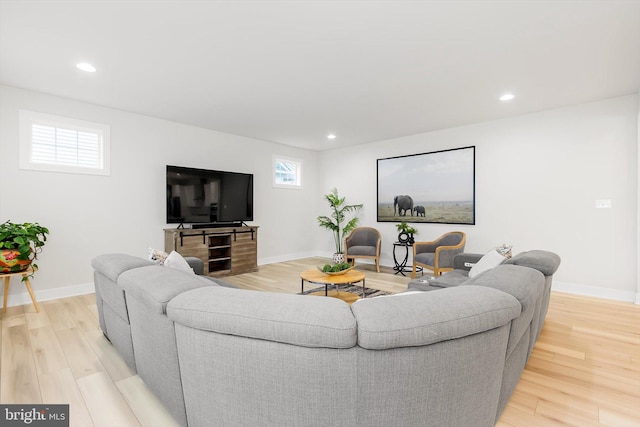 living room featuring light hardwood / wood-style floors