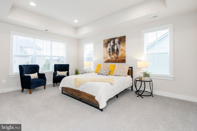 carpeted bedroom featuring a raised ceiling