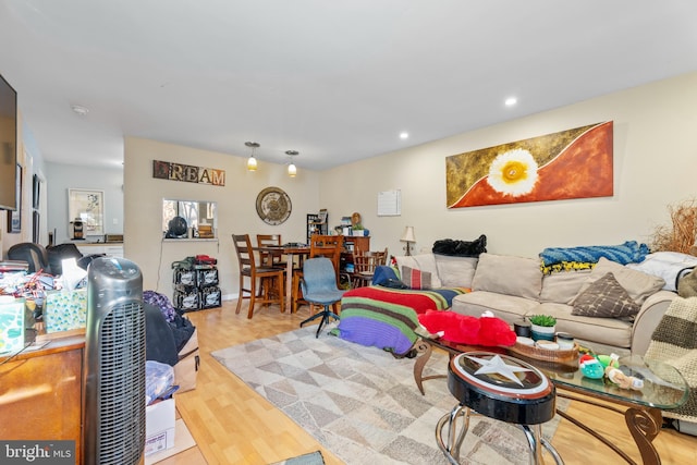 living room with wood-type flooring