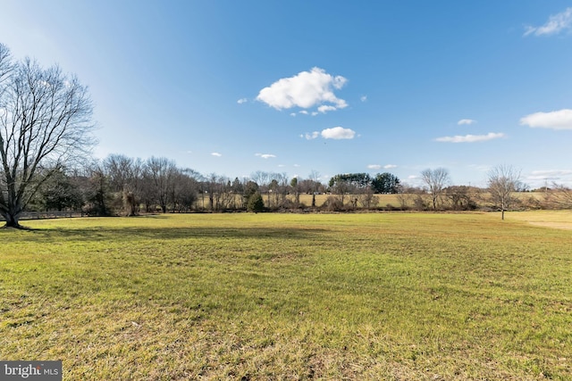 view of yard featuring a rural view