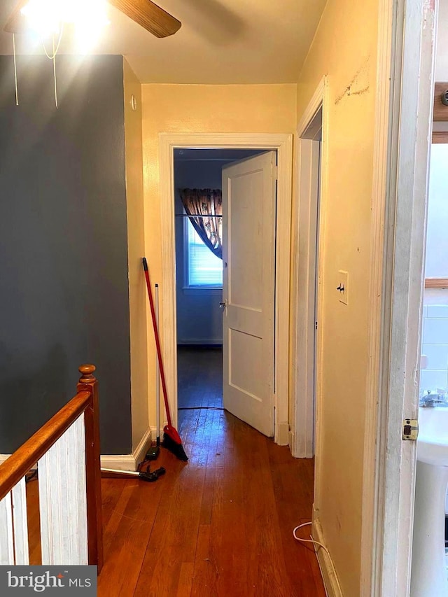 hallway featuring dark wood-type flooring