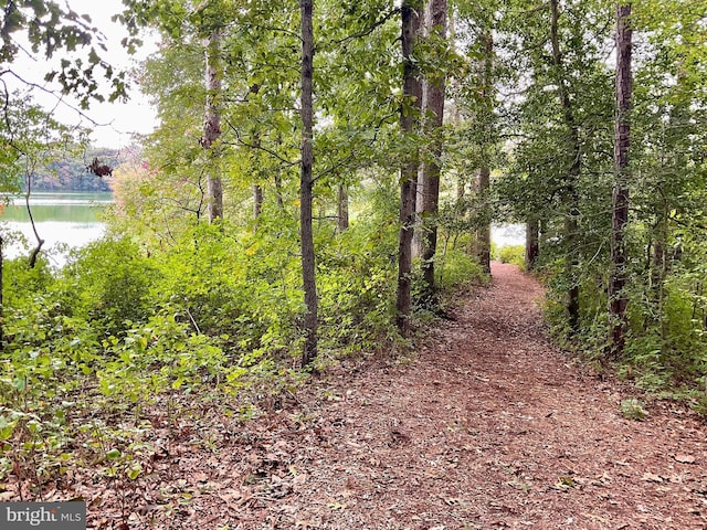 view of local wilderness with a water view