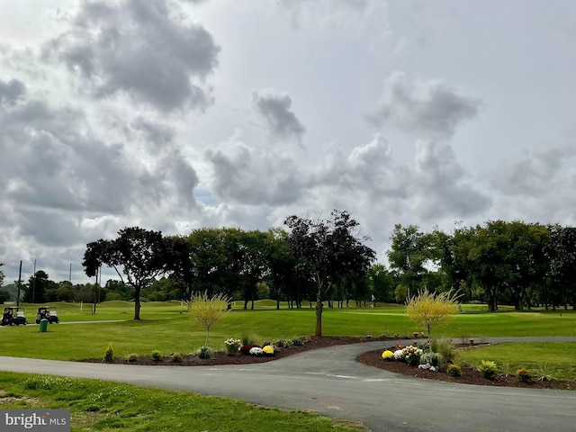 surrounding community featuring a lawn