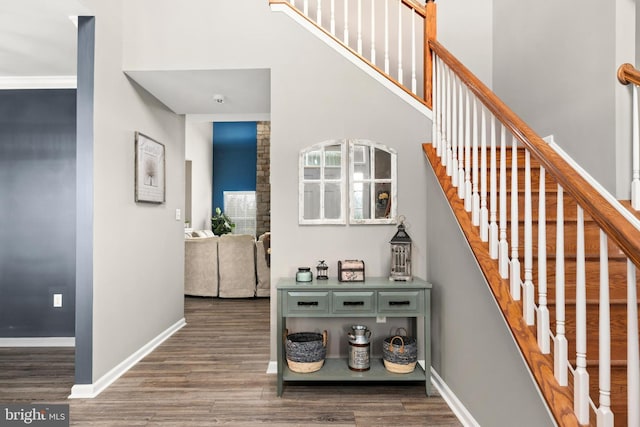 staircase with hardwood / wood-style flooring