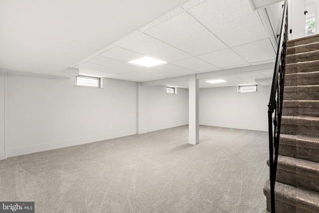 basement with carpet flooring and a paneled ceiling